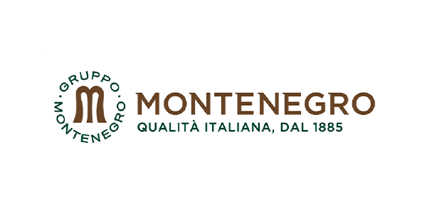 Monetnegro Group Logo